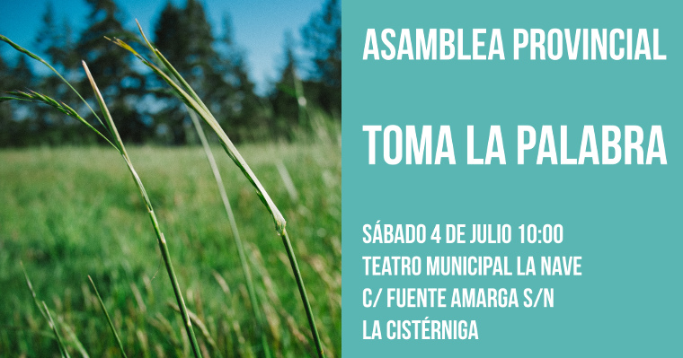 Valladolid Toma La Palabra_asamblea provincial 4 de julio (Copy)